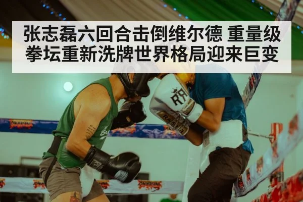 张志磊六回合击倒维尔德 重量级拳坛重新洗牌世界格局迎来巨变